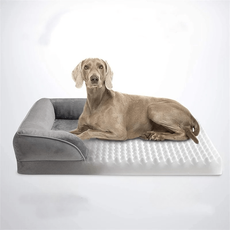 Pavoco Hundebetten Bequemes Orthopädisches Hundebett für Hunde gelenkschonend waschbar modern