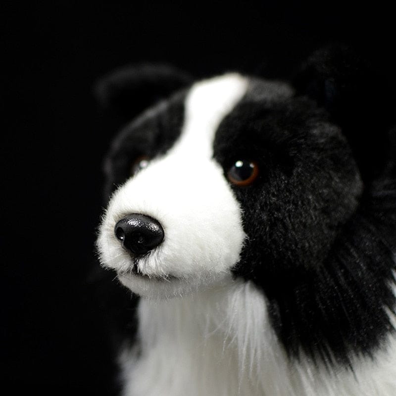 Pavoco Stofftiere & Plüschspielzeug Default Weicher Plüschhund für Kinder 25 cm kuschelig Border Collie Spielzeug
