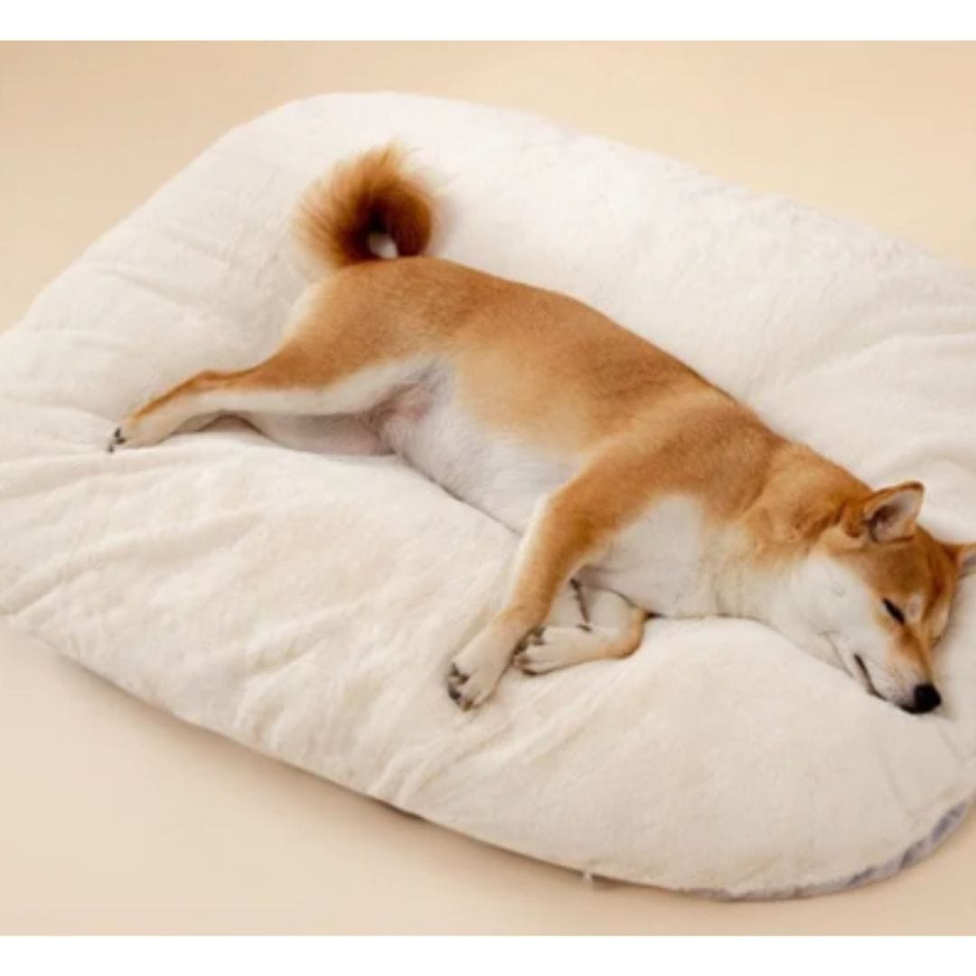 Pavoco Hundebetten Beige / M Weiches Hundebett für Hunde groß waschbar rutschfest atmungsaktiv