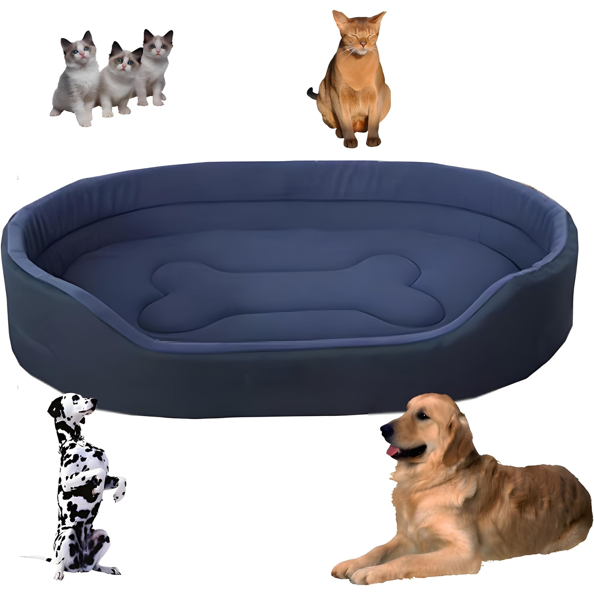 Pavoco Hundebetten Blau / 15.75 × 11.81 × 4.92 in Umweltfreundliches Haustierbett für Hunde Katzen weich wasserdicht