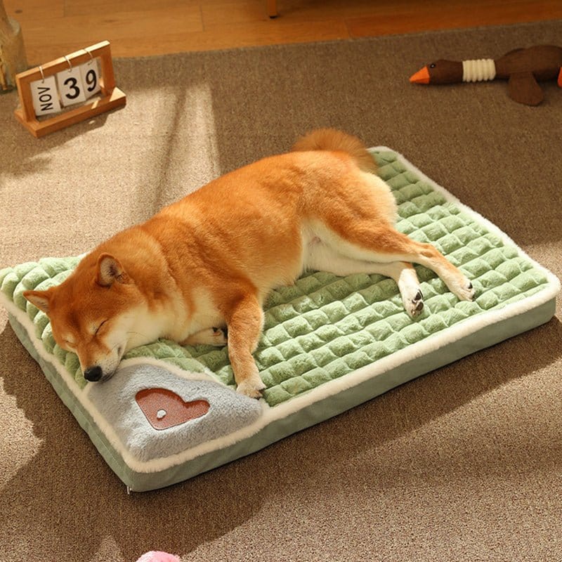 Pavoco Hundebetten Flauschiges Hundebett für kleine Hunde stilvoll bequem Premium