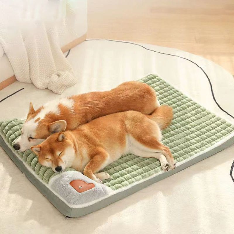 Pavoco Hundebetten Flauschiges Hundebett für kleine Hunde stilvoll bequem Premium