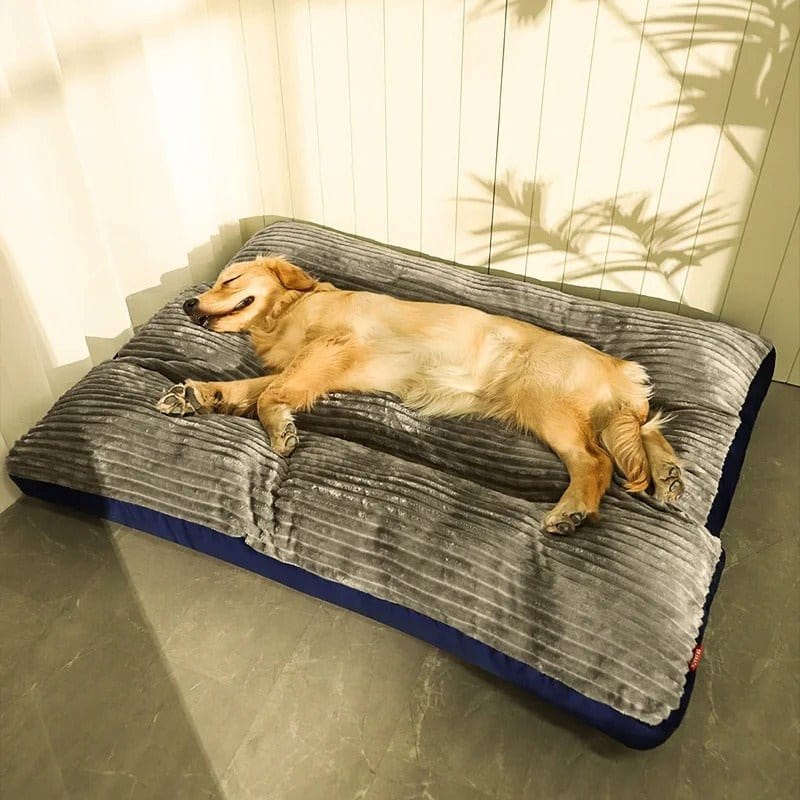 Pavoco Hundebetten Grau / M 80*66*7 cm Weiches Orthopädisches Hundebett für Hunde stützend rutschfest pflegeleicht