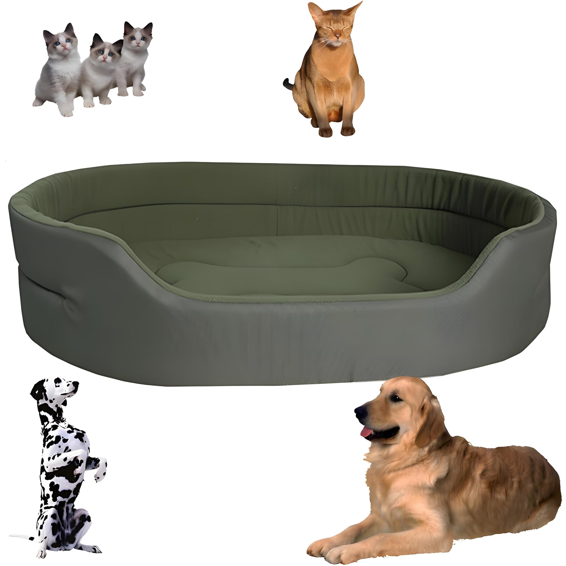 Pavoco Hundebetten Grün / 15.75 × 11.81 × 4.92 in Umweltfreundliches Haustierbett für Hunde Katzen weich wasserdicht