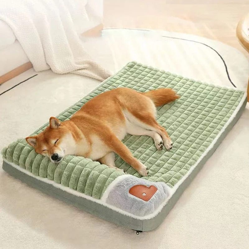 Pavoco Hundebetten Grün / M (60*40cm) Weiches Orthopädisches Hundebett für Hunde waschbar komfortabel atmungsaktiv