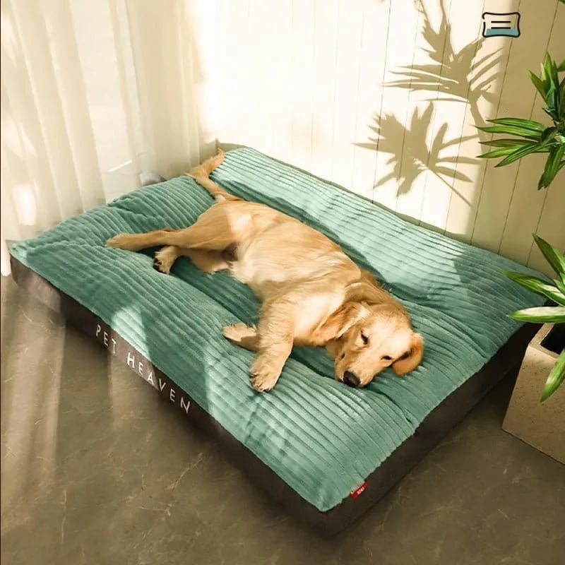 Pavoco Hundebetten Hellgrün / M 80*66*7 cm Weiches Orthopädisches Hundebett für Hunde stützend rutschfest pflegeleicht