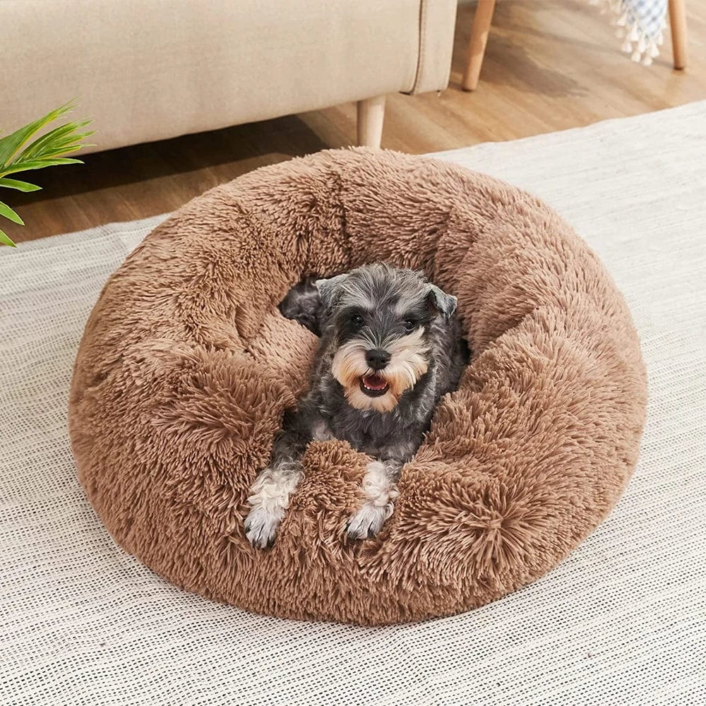 Pavoco Hundebetten Superweiches Wohlfühlbett für Hunde beruhigend rund Anti-Stress