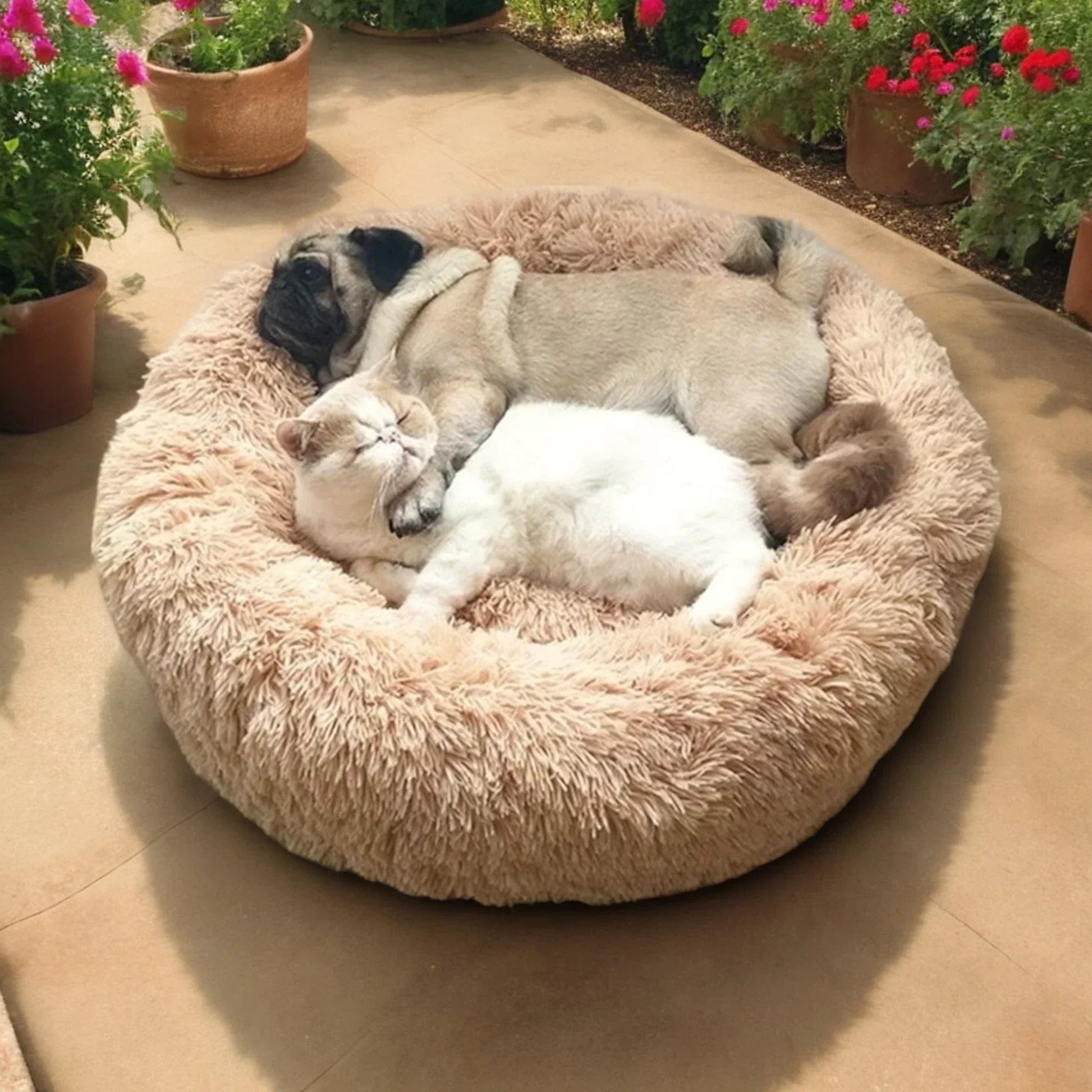 Pavoco Hundebetten Superweiches Wohlfühlbett für Hunde beruhigend rund Anti-Stress