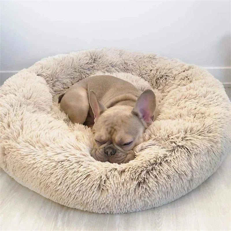 Pavoco Hundebetten Superweiches Wohlfühlbett für Hunde beruhigend rund Anti-Stress