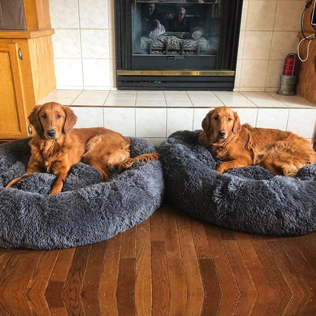 Pavoco Hundebetten Weiches Hundebett für Haustiere atmungsaktiv orthopädisch pflegeleicht