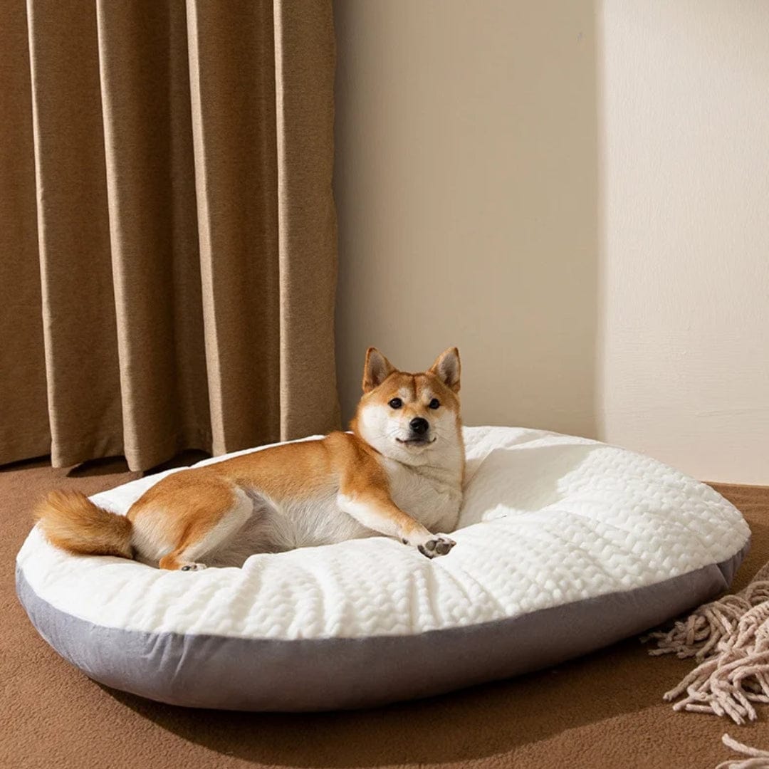 Pavoco Hundebetten Weiches Hundebett für Hunde groß waschbar rutschfest atmungsaktiv