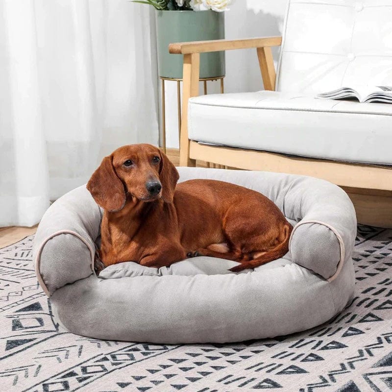 Pavoco Hundebetten Weiches Orthopädisches Hundebett für Hunde Gelenkunterstützung langlebig stilvoll