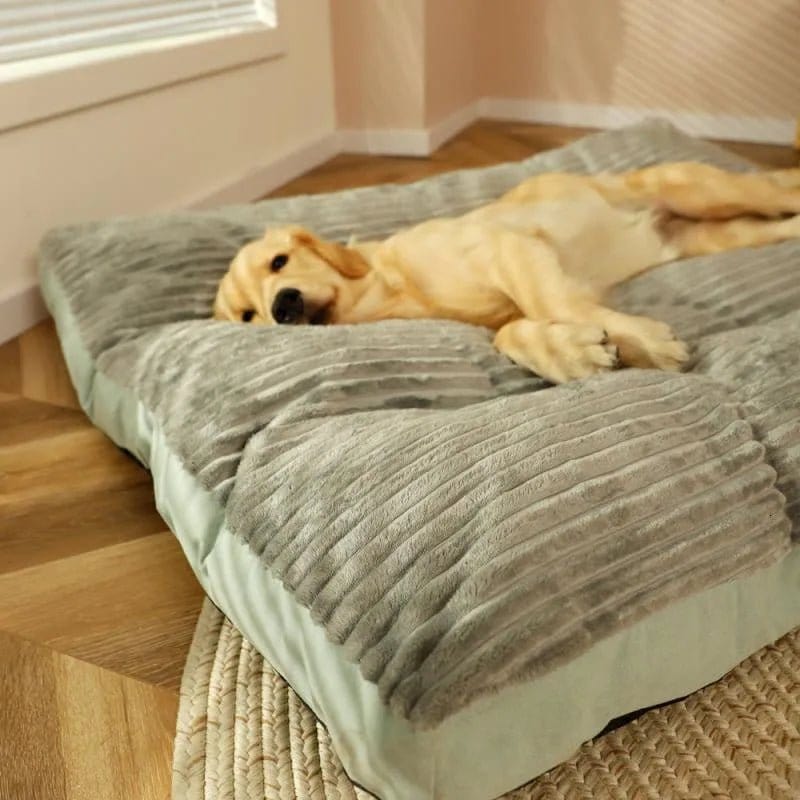 Pavoco Hundebetten Weiches Orthopädisches Hundebett für Hunde stützend rutschfest pflegeleicht