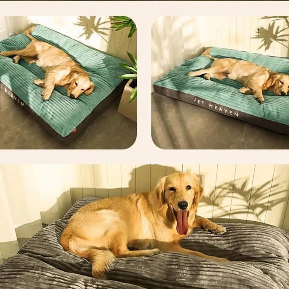 Pavoco Hundebetten Weiches Orthopädisches Hundebett für Hunde stützend rutschfest pflegeleicht