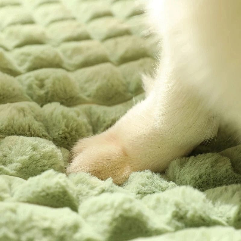 Pavoco Hundebetten Weiches Orthopädisches Hundebett für Hunde waschbar komfortabel atmungsaktiv