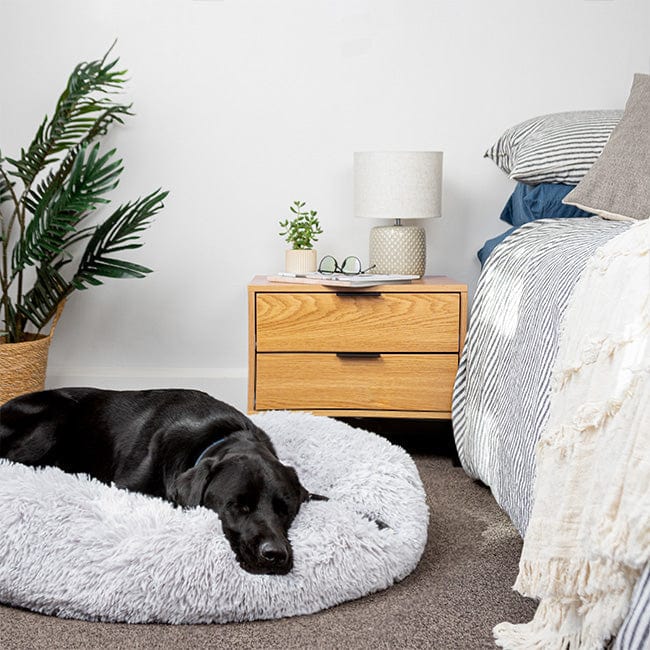 Pavoco Hundebetten XS / Hellgrau Weiches Hundebett für Haustiere atmungsaktiv orthopädisch pflegeleicht