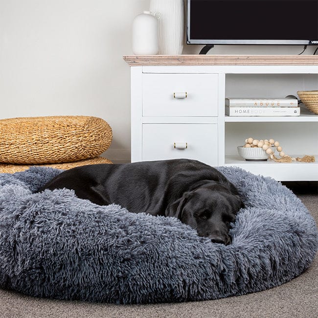 Pavoco Hundebetten XS / Kreidegrau Weiches Hundebett für Haustiere atmungsaktiv orthopädisch pflegeleicht
