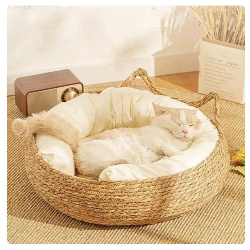 Pavoco Katzenbetten & Möbel Ultraweiches Katzenbett für Katzen und kleine Haustiere rutschfest maschinenwaschbar