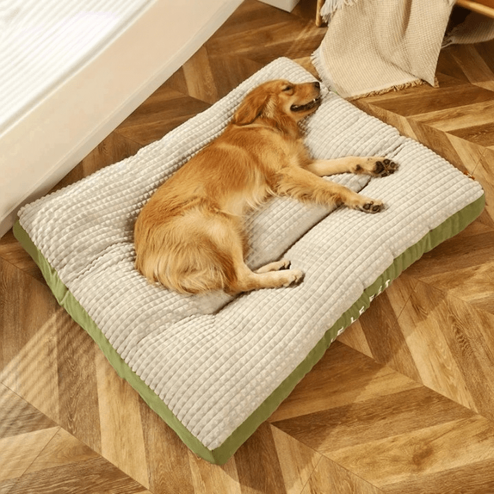 Pavoco Orthopädische Hundebetten Orthopädisches Hundebett für Hunde optimaler Komfort langlebig