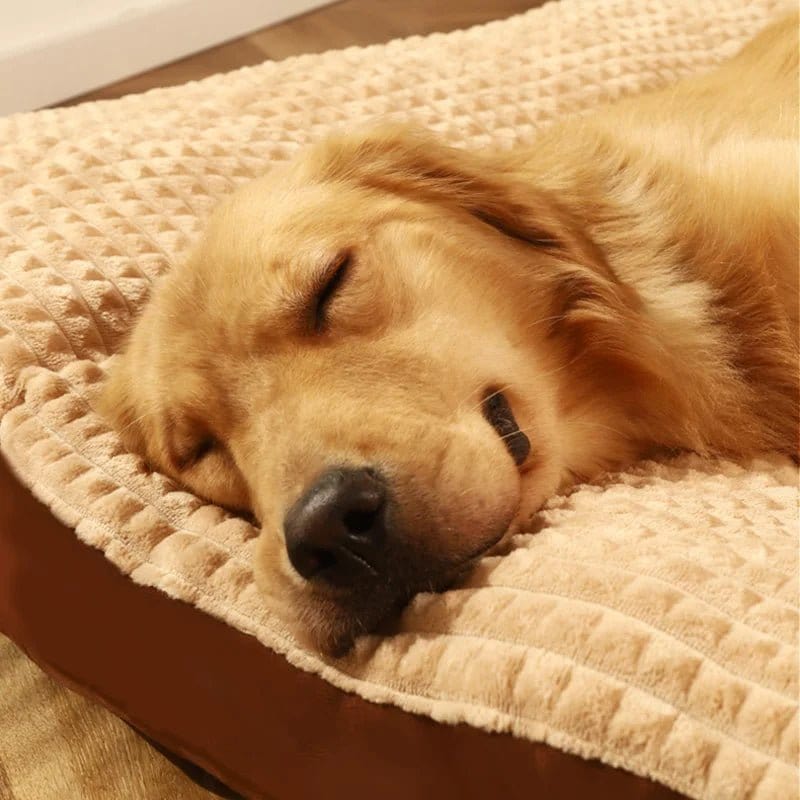 Pavoco Orthopädische Hundebetten Orthopädisches Hundebett für Hunde optimaler Komfort langlebig