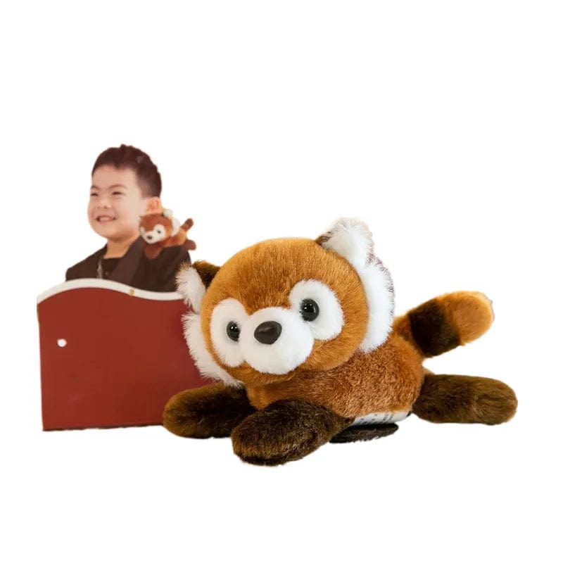 Pavoco Plüschtiere Waschbär Niedliches Kuscheltier für Kinder magnetisch tragbar Geschenkidee